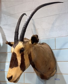 ORYX MOUNT