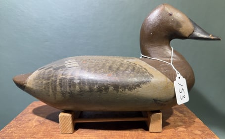 UPPER BAY CANVASBACK HEN IN O. P.