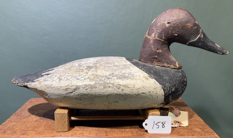 UPPER BAY CANVASBACK DRAKE: 15"