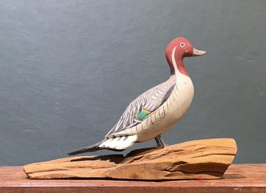 MINI PINTAIL ON DRIFTWOOD BASE: 8" X 6"