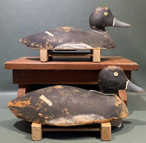 PAIR OF FACTORY RINGNECK DECOYS