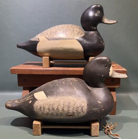 WILDFOWLER PAIR OF BLUE BILL DECOYS