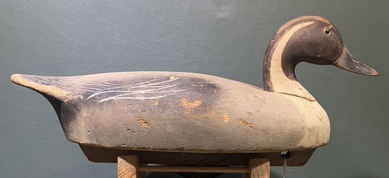 WILDFOWLER PINTAIL DECOY