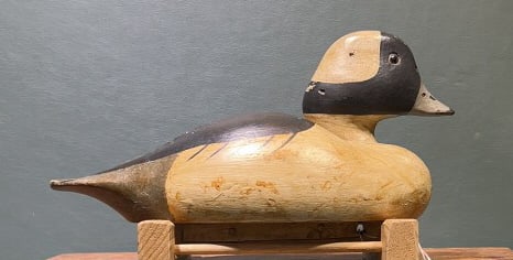 WILDFOWLER BUFFLEHEAD DRAKE: 11"