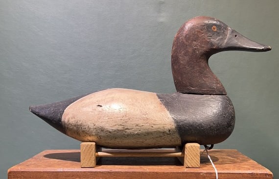 UPPER BAY CANVASBACK DRAKE BRANDED W: 14"