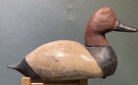 FLAT BOTTOM CANVASBACK DECOY