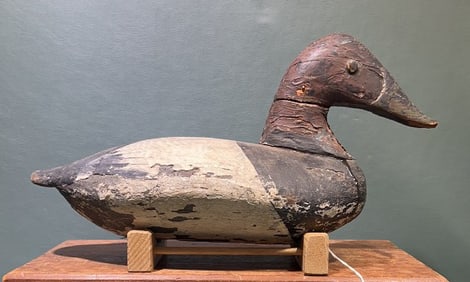 UPPER BAY CANVASBACK DECOY