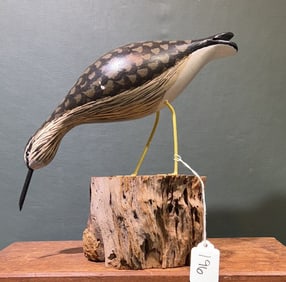 YELLOWLEGS SHOREBIRD ON DRIFT WOOD