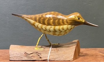 HERB DAISEY SR. SHOREBIRD ON DRIFTWOOD
