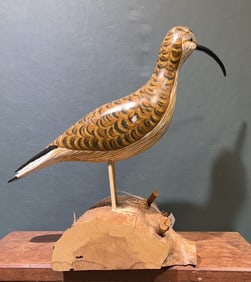 HERB DAISEY SR. SHOREBIRD ON DRIFTWOOD