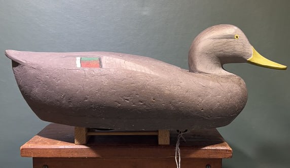 MADISON MITCHELL OVER-SIZED CORK BLACKDUCK: 19" X 8"