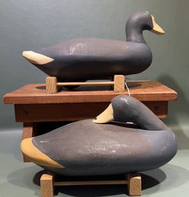 PAIR OF BILL COLLINS COOT DECOYS