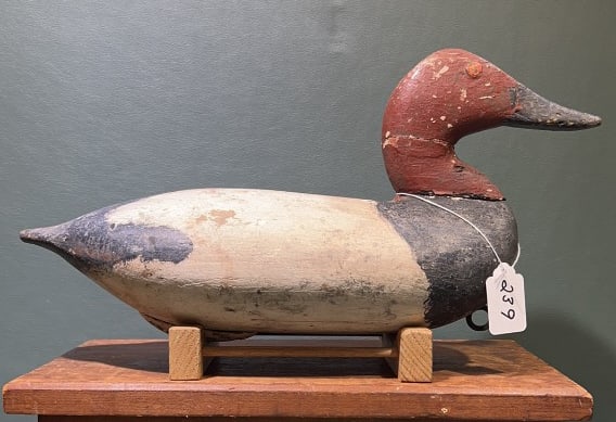 TAYLOR BOYD CANVASBACK (REPAINT): 13" X 6"