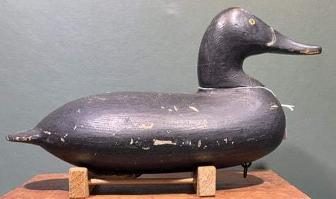WILL HEVERIN CANVASBACK PAINTED BLACK