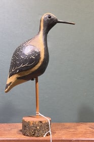 BLACK BELLY PLOVER SHOREBIRD ON BASE