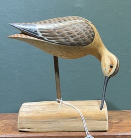 HARRY SHOURDS SHOREBIRD