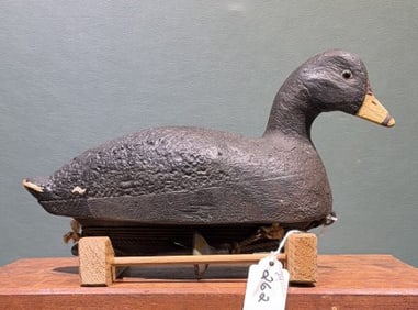C. WELLS CORK COOT