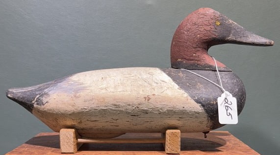 UPPER BAY CANVASBACK: 16" X 6"