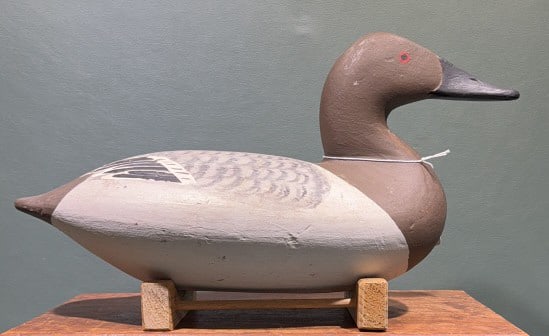 TAYLOR BOYD REPAINTED CANVASBACK: 14" X 7"