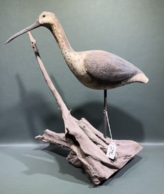 BUNDICK SHOREBIRD ON DRIFTWOOD