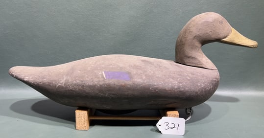 REDHEADED HOLLY BLACK DUCK