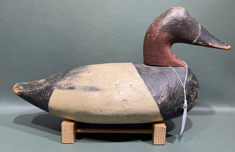 UNKNOWN CANVASBACK DRAKE 1940'S: 15"