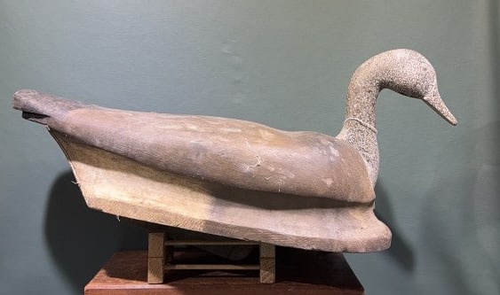 TALBOT COUNTY CANADA GOOSE DECOY 1965: 23-1/2" 1965