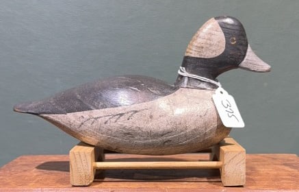GARY CROSSMAN BUFFLEHEAD