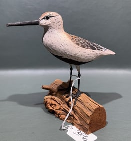 CORK MEGEE SHOREBIRD ON DRIFTWOOD