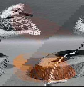 CORK MCGEE SHOREBIRD ON DRIFTWOOD