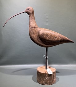 CURLEW BY STEVE MOREY
