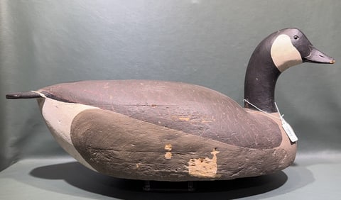 CRISFIELD BALSA CANADA GOOSE