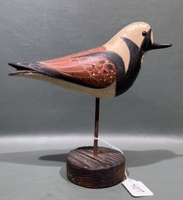 PETE PETERSON SHOREBIRD