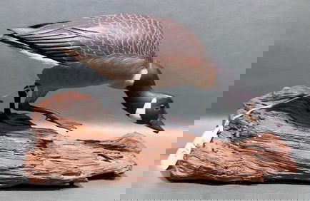 DAN BROVON MINI GOOSE ON DRIFTWOOD