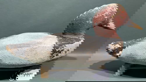 CANADIAN CANVASBACK DECOY W/ CAISED WINGS