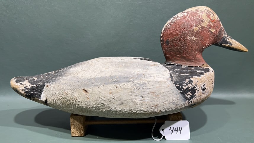 CANADIAN CANVASBACK DECOY W/ RAISED WINGS: 15"