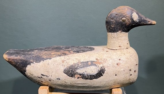 ANTIQUE GOLDEN EYE WORKING DECOY: 12-1/2" X 8"