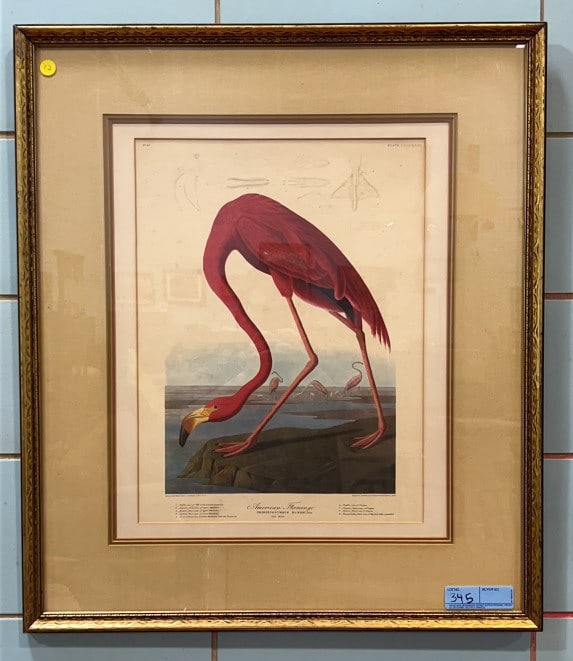 EARLY FRAMED AMERICAN FLAMINGO PRINT: 26" X 29 1/2"