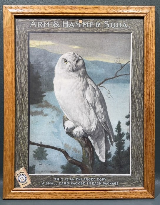 ARM & HAMMER SODA ADVERTISING W/ SNOWY OWL: 16" X12-1/2"