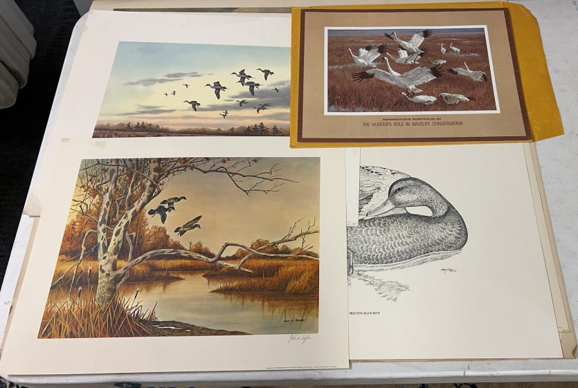 COLLECTION OF VARIOUS UNFRAMED WILDLIFE PRINTS: ~