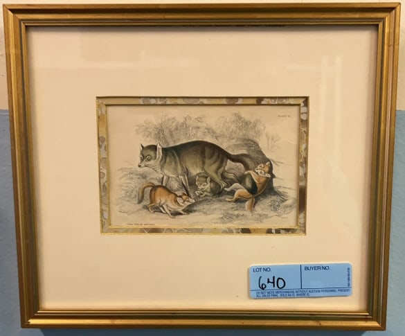 W. H. LIZARS "COAL FOX OF BAVARIA ENGRAVING" (1 of 2)