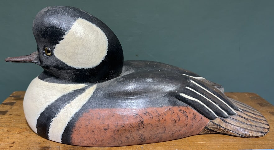 SHARYN BASS HOODED MERGANSER