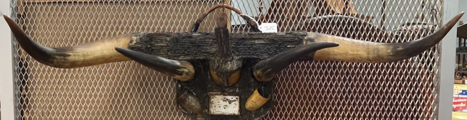 FOLK ART BULL HORN RACK: 31.5" X 13"