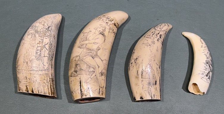 COLLECTION OF 4 VARIOUS PIECES OF FAUX SCRIMSHAW: 7" X 2"