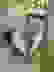 item-100245594=2
