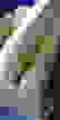 item-100245599=3