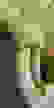 item-100245600=4