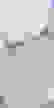 item-100245601=2