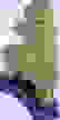 item-100245604=3