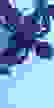 item-100245612=3
